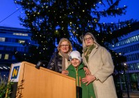 Christbaum aus Altendorf im Niederösterreichischen Landhaus illuminiert