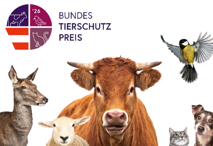 Jetzt auch: