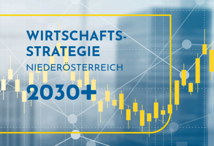 Wirtschaftsstrategie 2030+