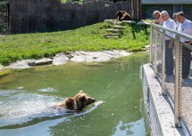 Landeshauptfrau Johanna Mikl-Leitner mit ihrem Patenbären Leo.