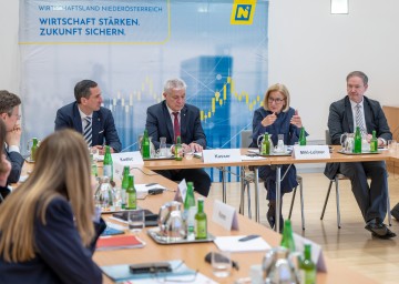 Wirtschaftsweisen beraten Zukunftspotentiale der NÖ Gesundheitswirtschaft&nbsp;