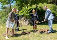 Erster zertifizierter Heilwald Österreichs entsteht in Senftenberg Erster zertifizierter Heilwald Österreichs entsteht in Senftenberg