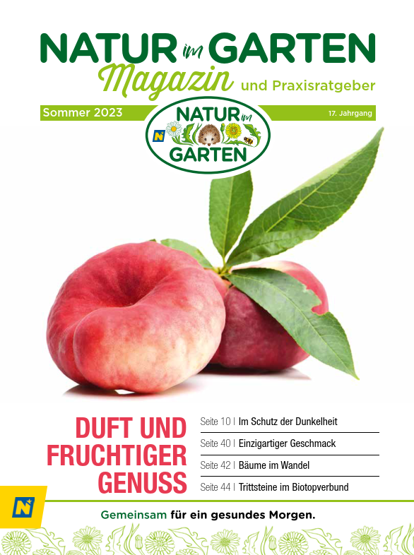 Cover des Magazins Natur im Garten